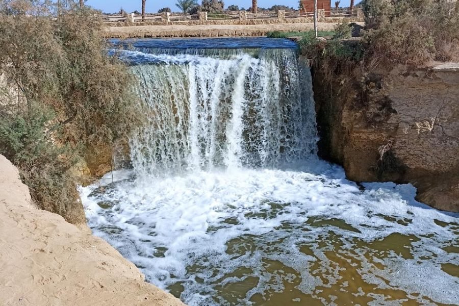 Fayoum Oasis Desert Adventure