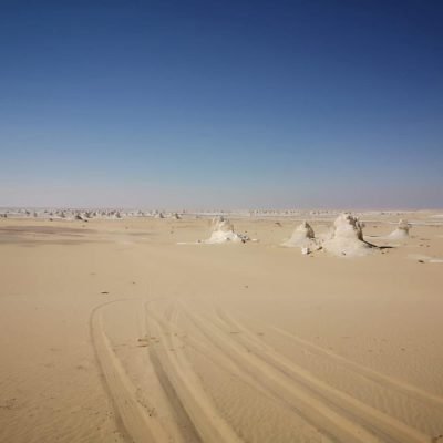 Bahariya Oasis