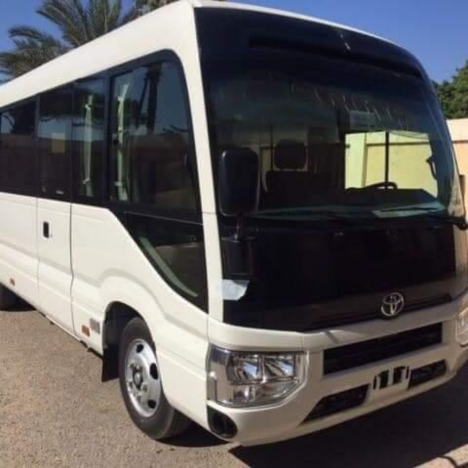 WhatsApp Image 2025-03-10 at 11.01.06 PM (1)