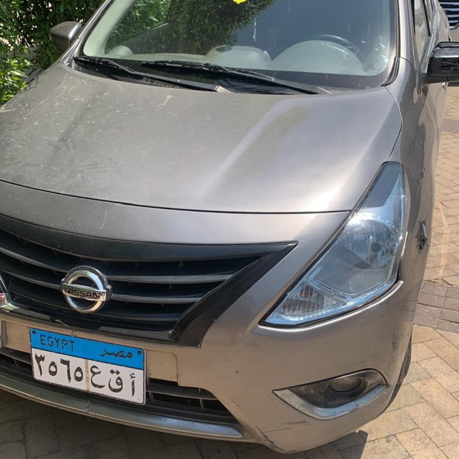 WhatsApp Image 2025-03-10 at 11.01.07 PM (3)